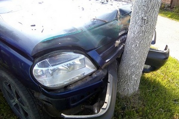 В Гагарине водитель «Chevrolet Niva» врезался в дерево