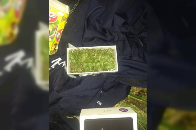 Житель Велижа хранил марихуану в коробке из-под телефона