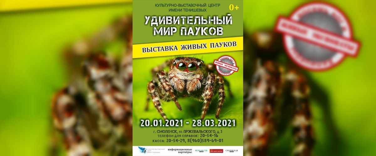 Смолян приглашают на выставку «Удивительный мир пауков»