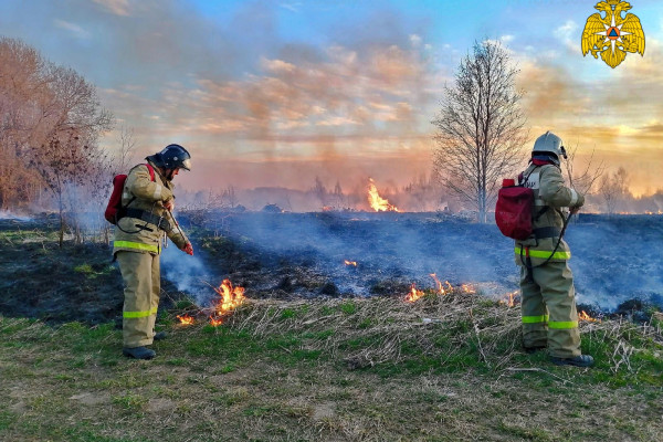 За десять майских дней смоленские пожарные 94 раза выезжали на ликвидацию травяных палов