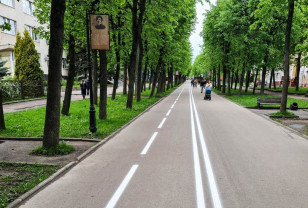 Губернатор Алексей Островский поручил обновить разметку велодорожек в Смоленске