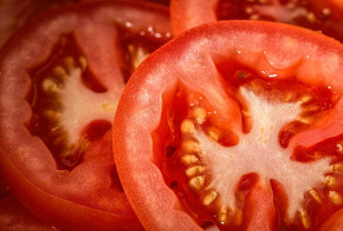 В Смоленской области пресекли попытку ввоза двух партий зараженных томатов