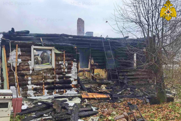 В Починковском районе горел частный дом