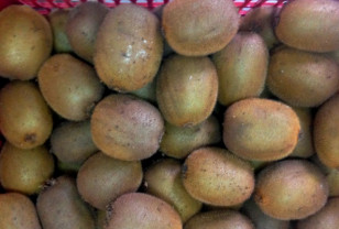 В Смоленской области пресекли попытку нелегального ввоза 53 тонн перца, груш и киви