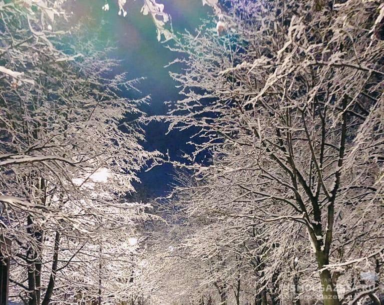 12 января в Смоленской области морозы станут крепче