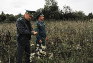 В Смоленской области выявили 525 гектаров зарастающих сельхозземель
