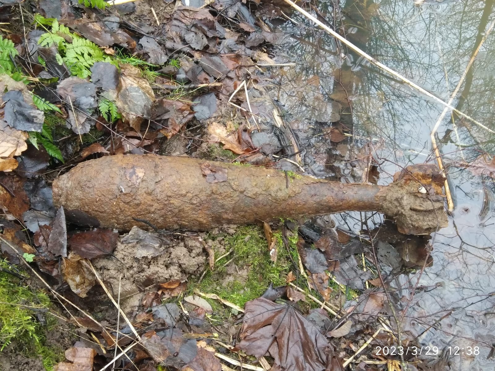 В Смоленской области нашли очередной взрывоопасный предмет времён ВОВ