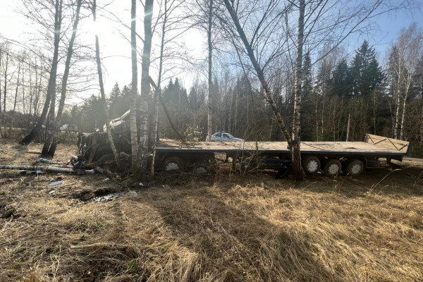 В Смоленской области водитель «КАМАЗа» не справился с управлением и съехал в кювет