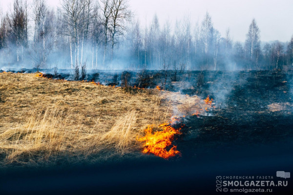 Высокий уровень опасности из-за угрозы пожаров действует в Смоленске и области