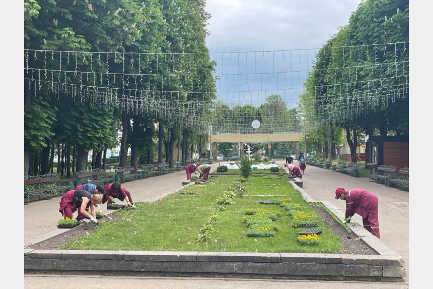 За один день в Лопатинском саду Смоленска высадили шесть тысяч бархатцев