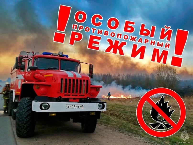 В Смоленской области в 17 муниципалитетах действует особый противопожарный режим