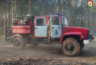 650 специалистов задействованы в лесной отрасли на Смоленщине