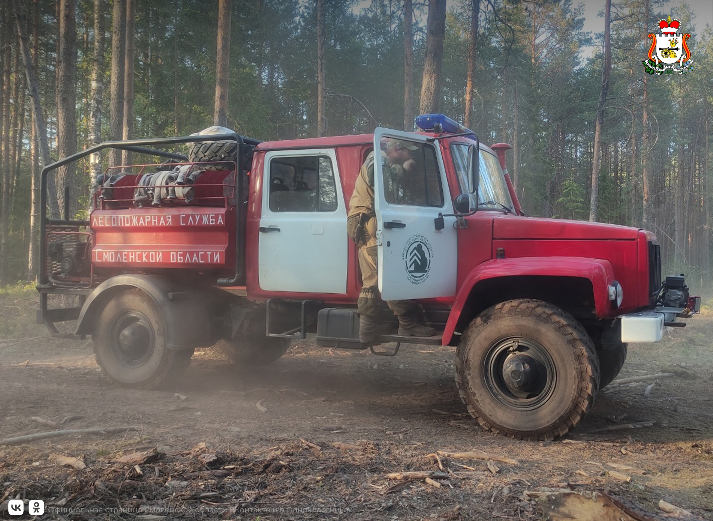 650 специалистов задействованы в лесной отрасли на Смоленщине