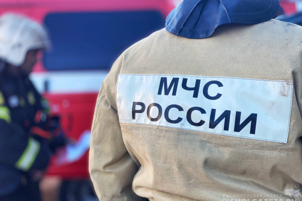 2610 пожаров произошло в Смоленской области за полгода