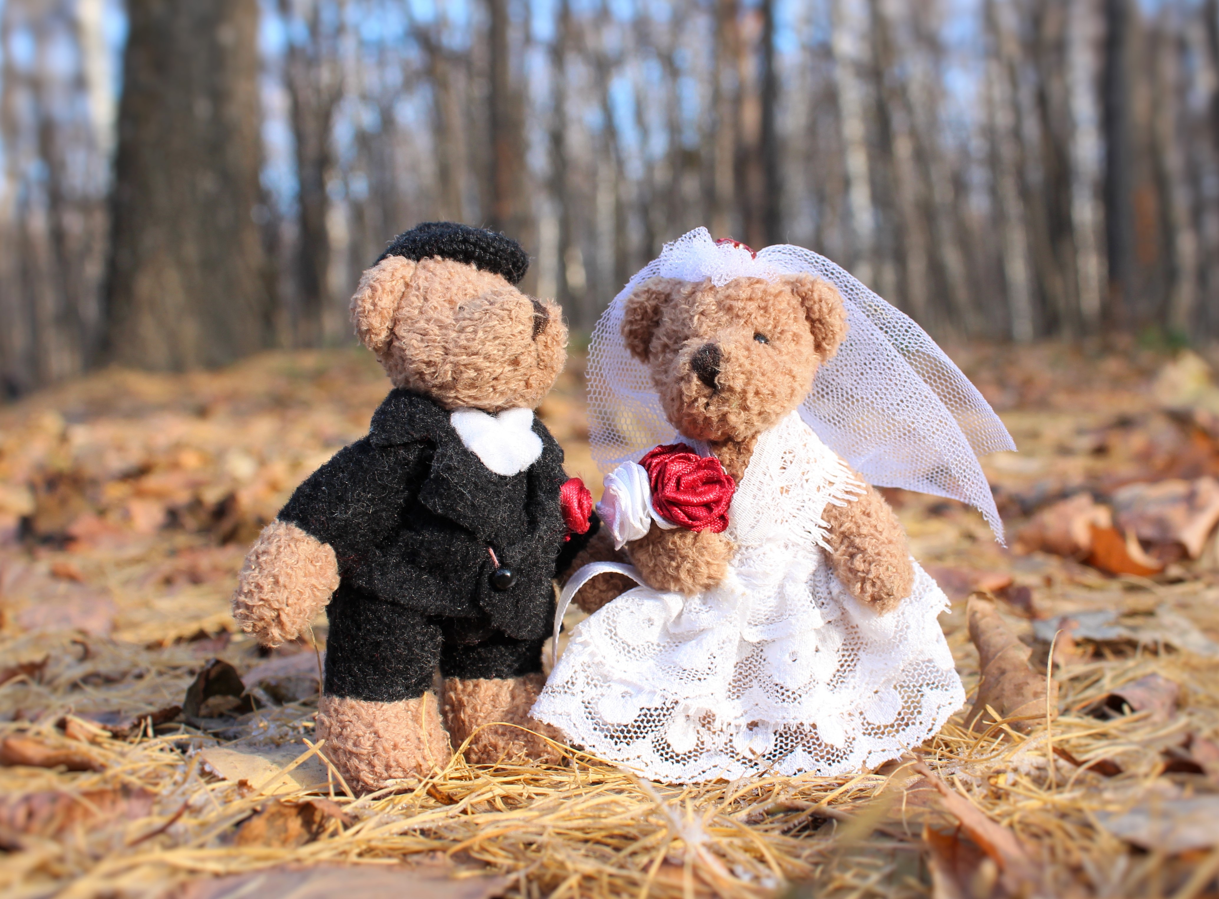 В Смоленской области 597 пар узаконили свои отношения в сентябре