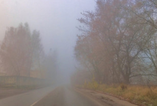 25 октября в Смоленской области ожидаются морось и мокрый снег