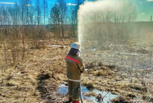 545 подразделений добровольной пожарной охраны зарегистрировано на Смоленщине