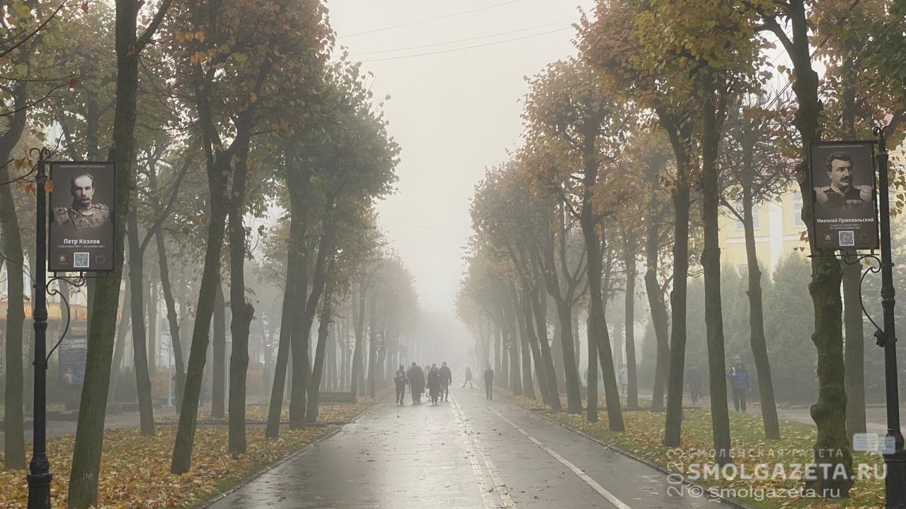 «Жёлтый» уровень опасности объявили в Смоленске из-за тумана