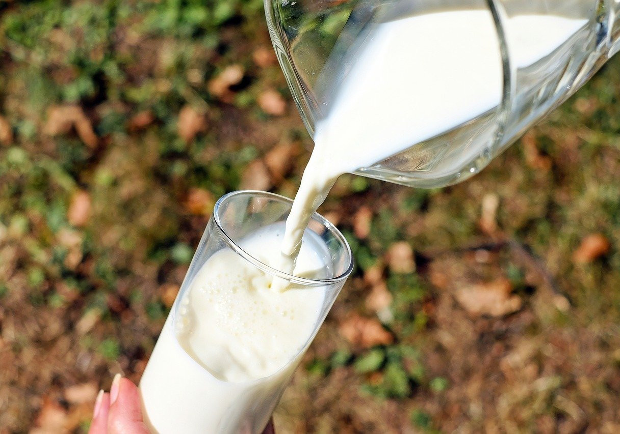 154,1 тысячи тонн молока произвели в Смоленской области в 2023 году