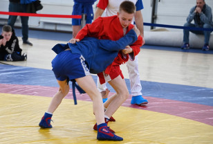 В Смоленске около 100 спортсменов выступили на соревнованиях по спортивному и боевому самбо
