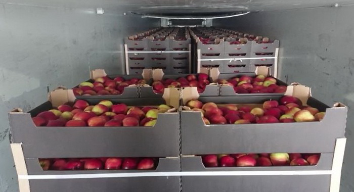Смоленская таможня задержала 56 тонн яблок неизвестного происхождения
