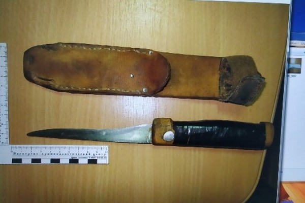 Пьяный житель Ершичей напал на подростка с ножом