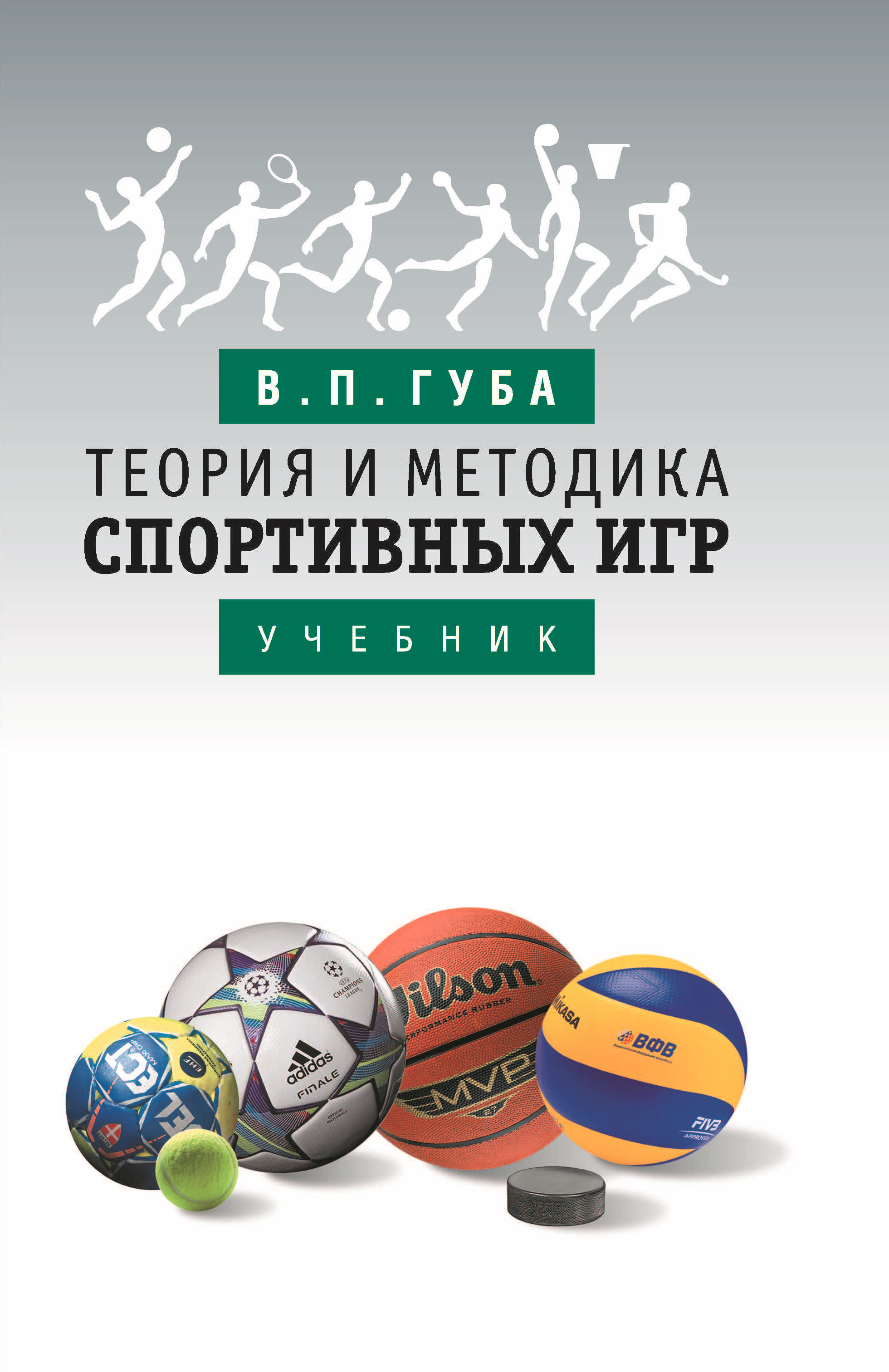 Профессор из Смоленска выпустил новую книгу о теории и методике игровых видов спорта