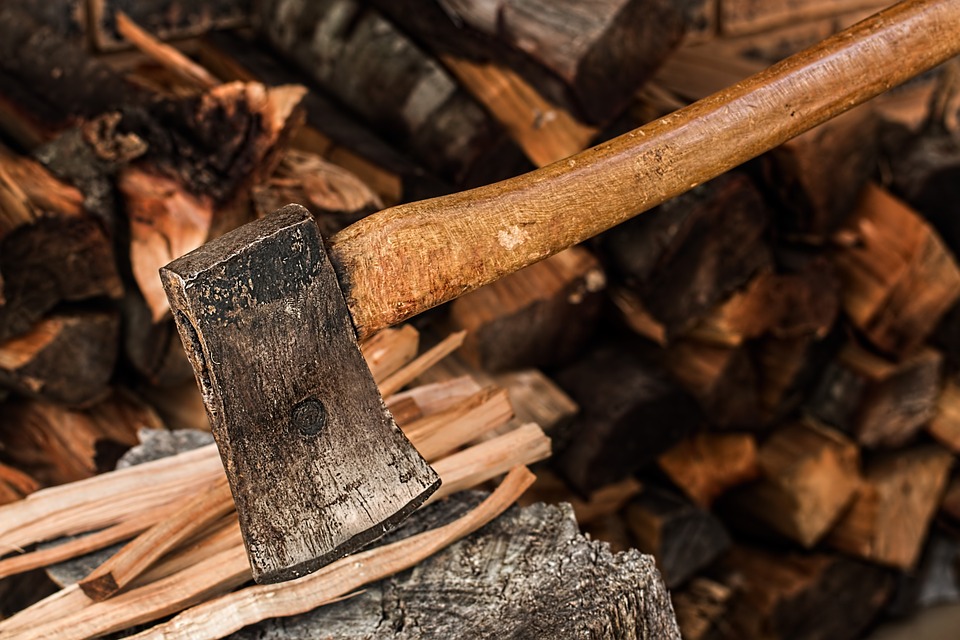 Ранее судимый смолянин незаконно спилил деревья почти на 400 тысяч рублей