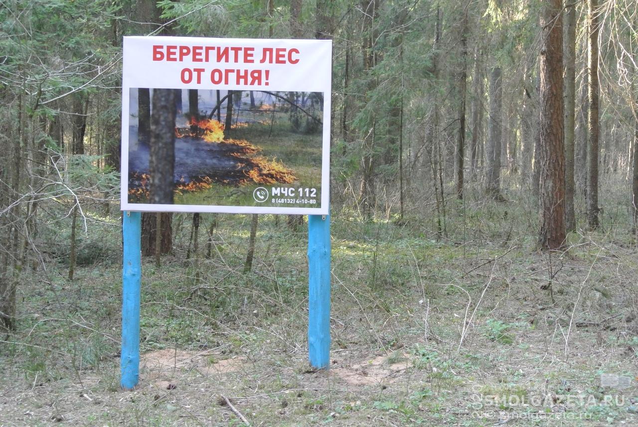 С 1 апреля в Смоленской области будет объявлен пожароопасный сезон 