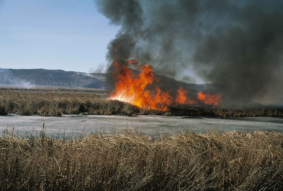 За сутки смоленские спасатели совершили 24 выезда на возгорания сухой травы