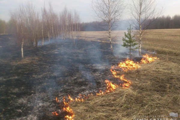 58 выездов на возгорания сухой травы совершили за сутки смоленские спасатели