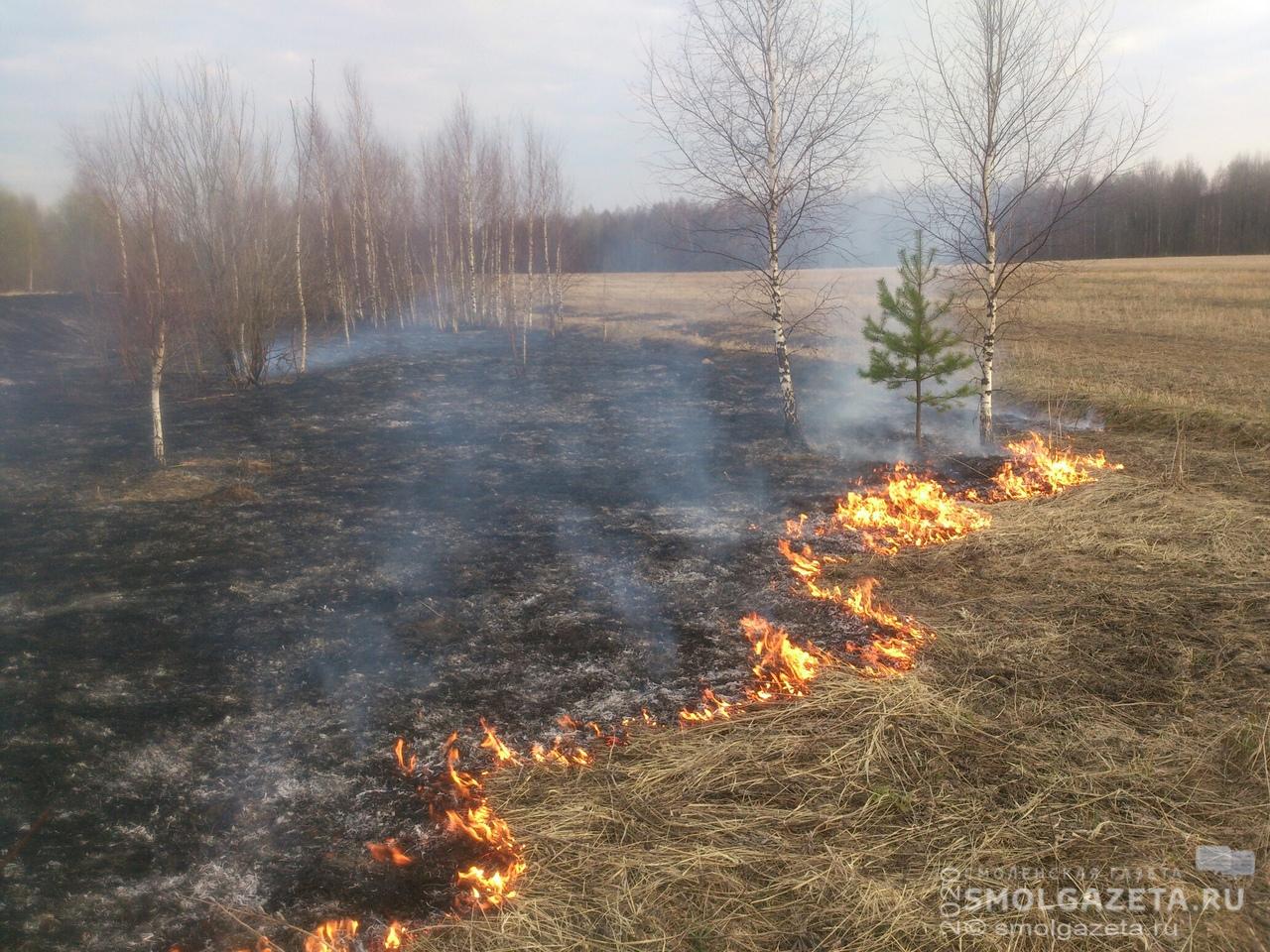 58 выездов на возгорания сухой травы совершили за сутки смоленские спасатели