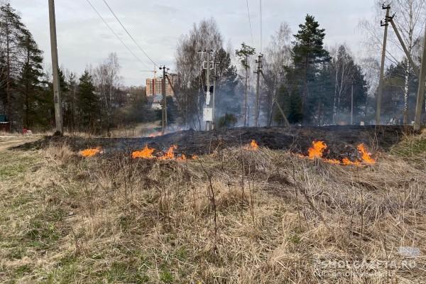 В Смоленской области за сутки произошло семь возгораний сухой травы 