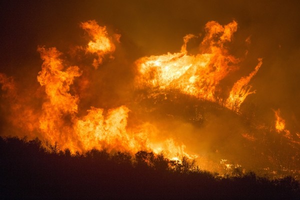 Высота огня на лесном пожаре в Ершичском районе достигала 6 метров