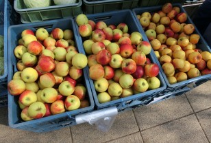 Смоленские таможенники задержали 26 тонн нелегальных яблок и груш