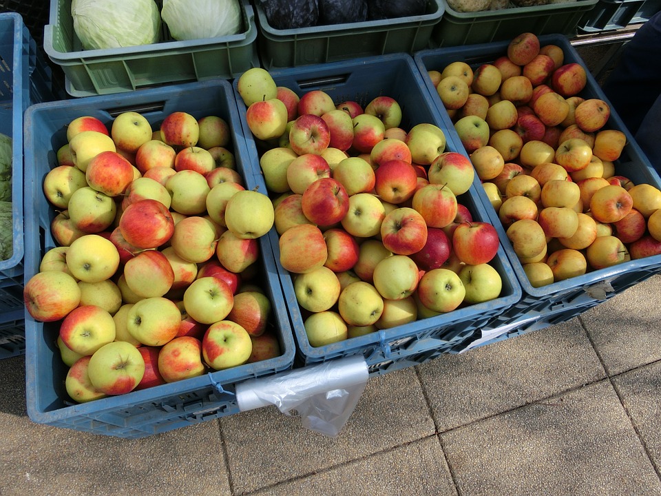 Смоленские таможенники задержали 26 тонн нелегальных яблок и груш