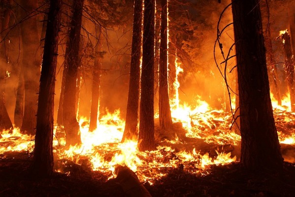 Прокуратура выявляет нарушения при подготовке районов Смоленской области к пожароопасному периоду