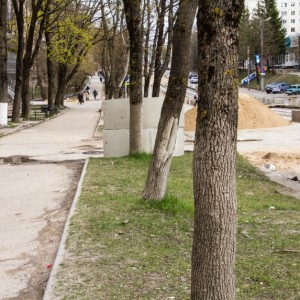 На улице Николаева высадят почти 1,5 тысячи деревьев и кустарников