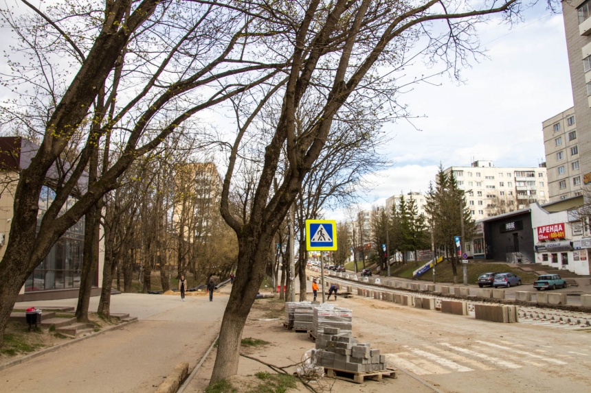На улице Николаева высадят почти 1,5 тысячи деревьев и кустарников