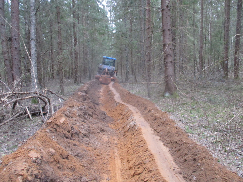 В Смоленской области идут работы по противопожарному обустройству леса
