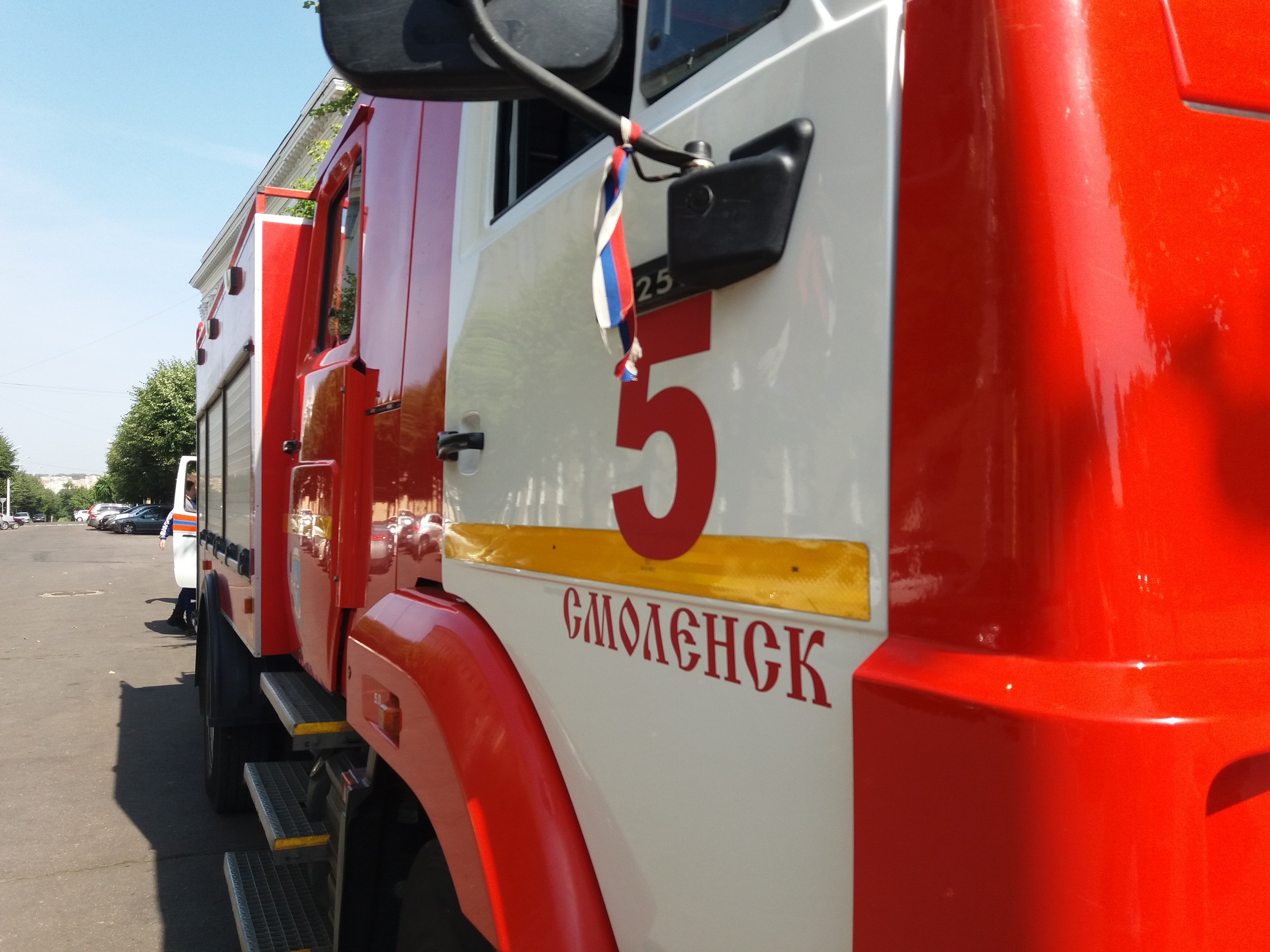 В Смоленске при пожаре пострадала женщина