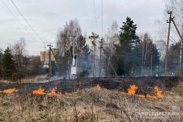 1591 «травяной пожар» произошел в Смоленской области с начала года