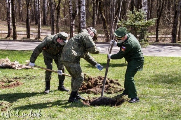 В Реадовском парке в Смоленске заложили «Сад памяти»