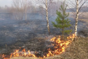 За сутки в Смоленской области потушили 20 «травяных пожаров»