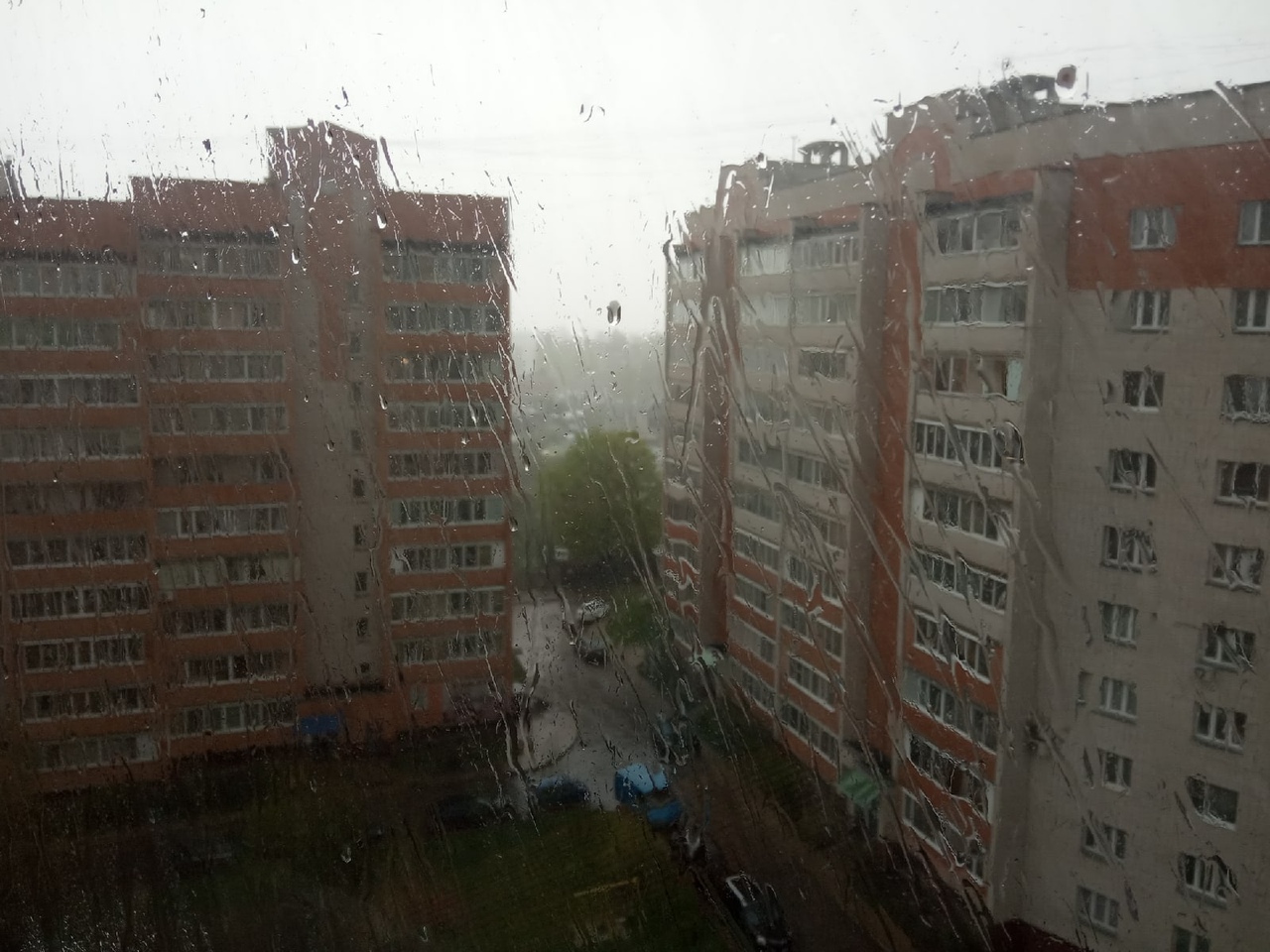 12 мая в Смоленской области возможен мокрый снег