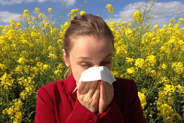 Смолянам напоминают об отличии симптомов аллергии и COVID-19 