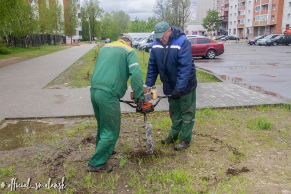 126 кустов барбариса высадили в Смоленске