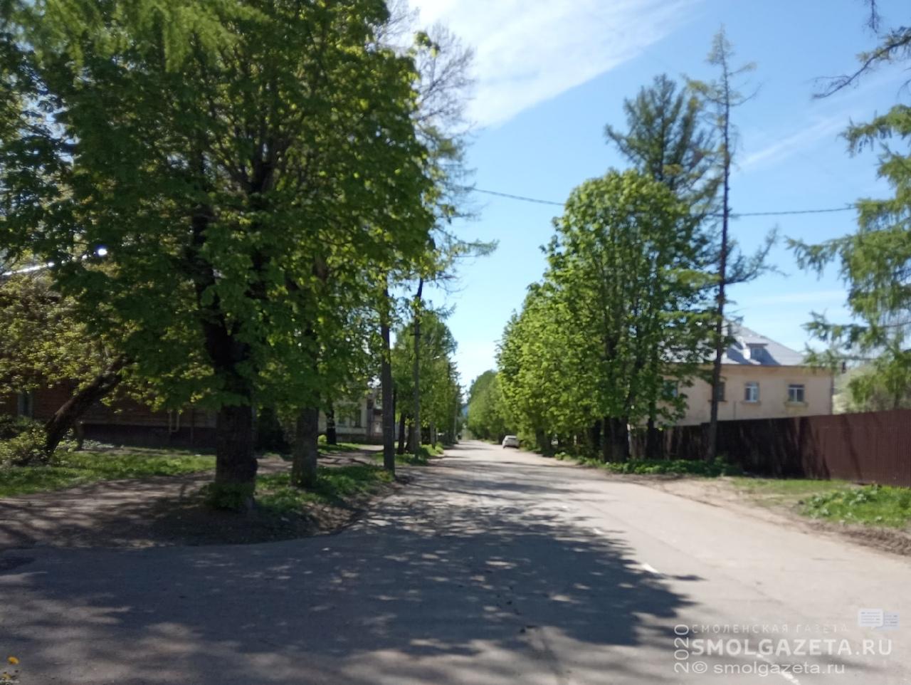 В Смоленске могут появиться улицы Барановского и Пашкова