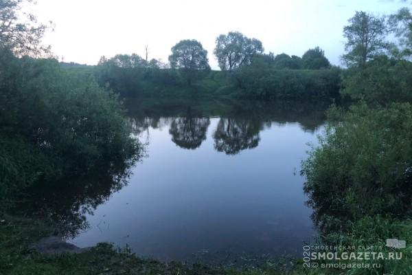 В Сычевке в реке Вазуза утонула школьница