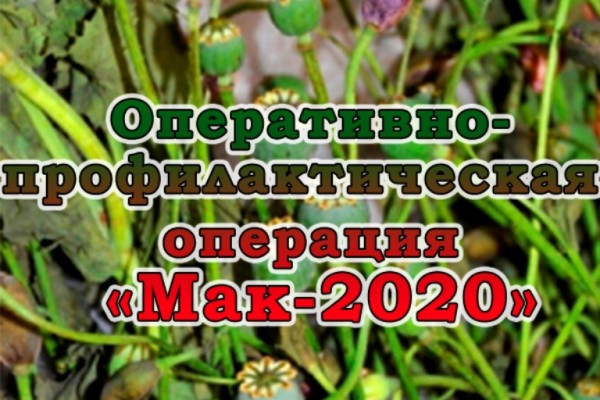  В Смоленской области началась операция «Мак-2020»